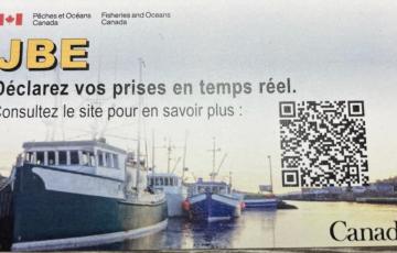 JBE : Déclarez vos prises en temps réel.