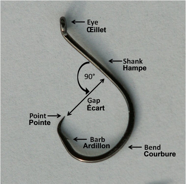 circle hook
