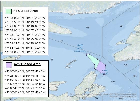 Carte montrant le golfe du Saint‑Laurent et le détroit de Cabot avec deux zones de fermeture de pêche ombrées : la zone fermée 4T en vert pâle au nord du détroit de Cabot et la zone fermée 4Vn en violet pâle au sud du détroit, avec les divisions de l’OPANO et les coordonnées des limites indiquées.