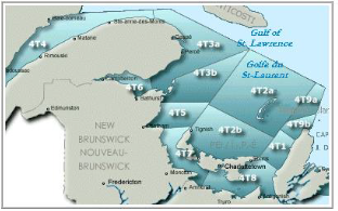 Carte démontrant les lignes de délimitation des zones de pêche du poisson de fond dans le Golfe du Saint-Laurent. Il existe douze zones de pêche du poisson de fond et chacun est attribué un nom. Les noms des zones de pêche du poisson de fond sont les suivants : Zone 4T1, Zone 4T2A, Zone 4T2B, Zone 4T3A, Zone 4T3B, Zone 4T4, Zone 4T5, Zone 4T6, Zone 4T7, Zone 4T8, Zone 4T9A et Zone 4T9B. Chaque zone de pêche est délimitée par des coordonnées géographiques spécifiques.