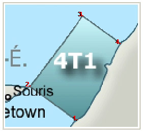 Ground Fish Area 4T1