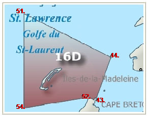 Herring Zone 16d
