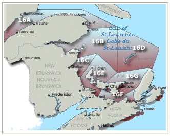 Map showing the boundary lines of the herring fishing areas in the Gulf of St. Lawrence. See details below