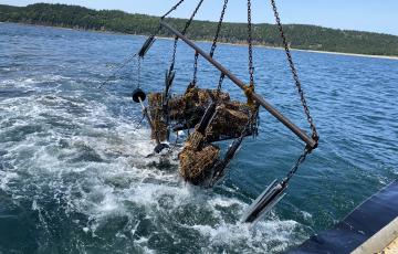 Ghost gear being lifted from the water