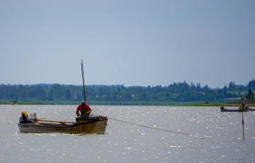 boats in water 