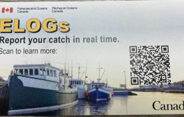 ELOGs: Report your catch in real time.